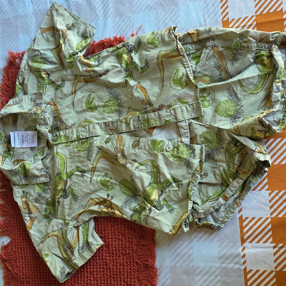 Dinosaur Print Shirt and Shorts Set